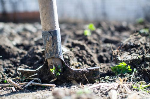 brown shovel